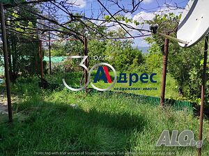 image_7