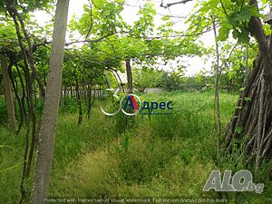 image_12