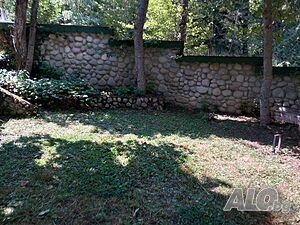 image_13
