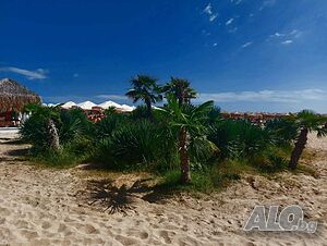 image_11