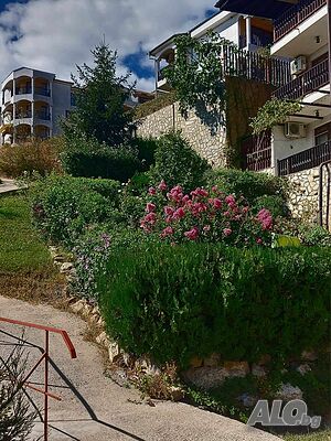 image_12