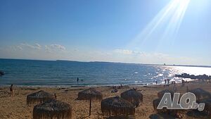 image_14