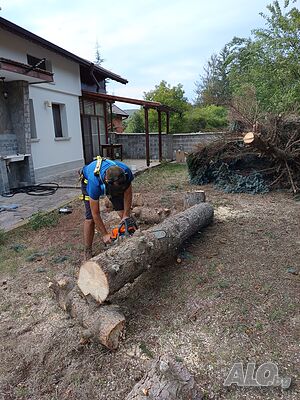 image_5