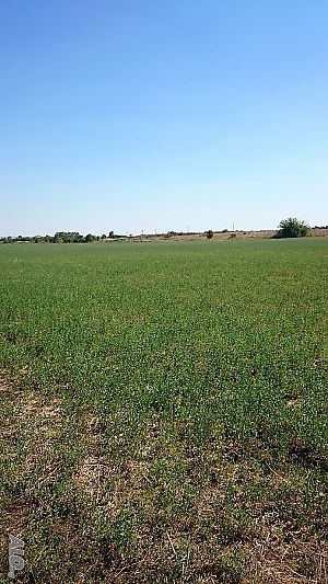 image_9