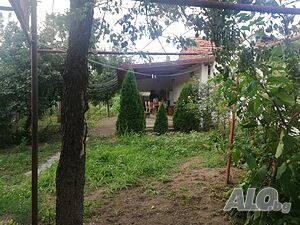 image_11