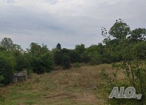image_3