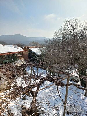 image_10