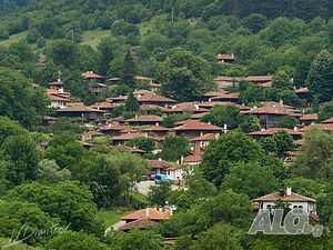 image_15