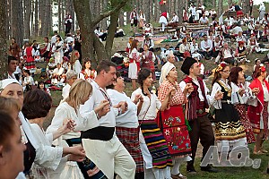 image_14
