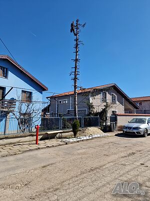 Рязане На Опасни Дървета