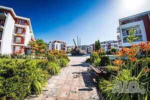image_13