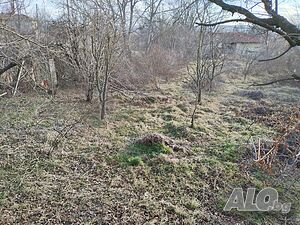 image_15