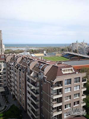 image_11