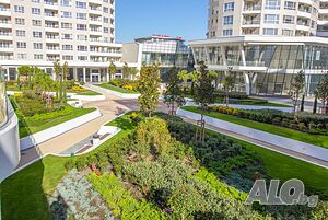 Паркомясто под наем в Сентрал парк
