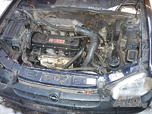 image_5
