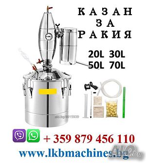 image_11
