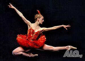 image_2