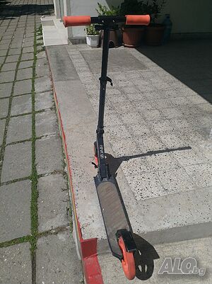 image_5