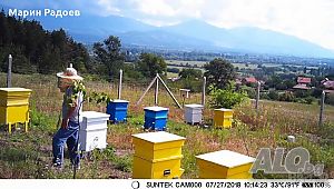 image_4