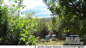 image_7