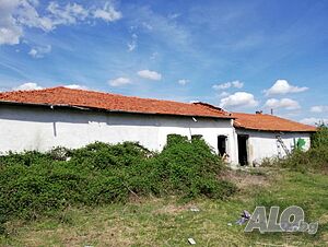 image_3