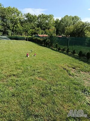 image_3