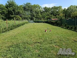 image_4