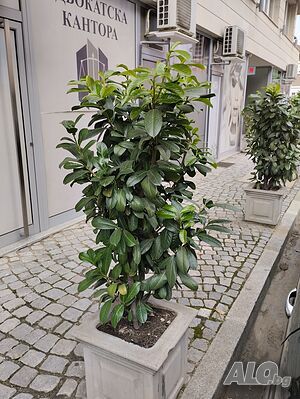 image_8