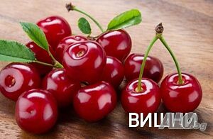 Продавам дръвчета Вишни и дръвчета Вишновки