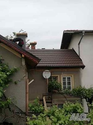 image_12