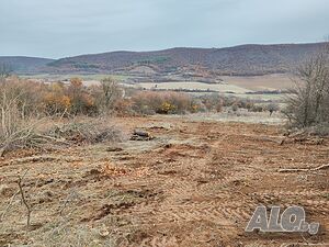 image_3