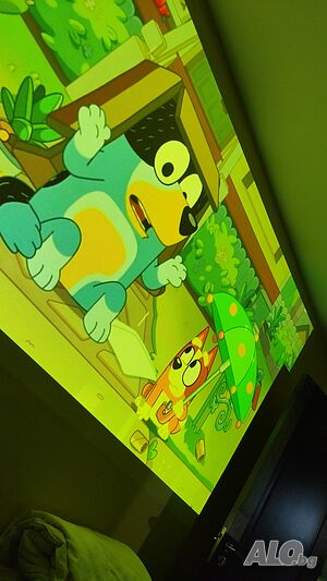 image_9