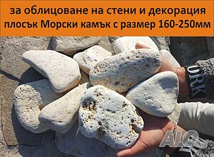 image_11