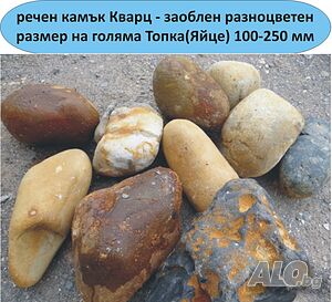 image_12