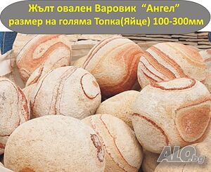 image_4