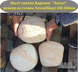 image_5