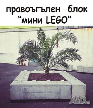 image_10