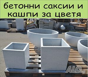 image_12