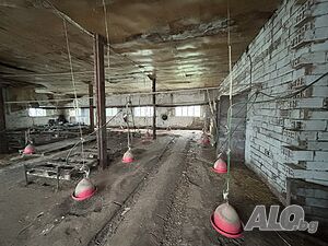 Пилчарник в с. Дончево.