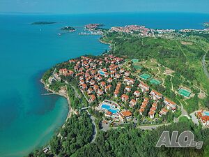 image_9