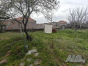 image_11