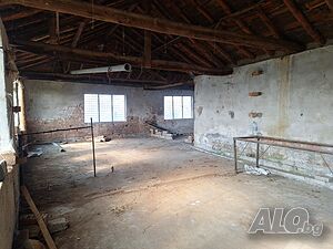 image_6