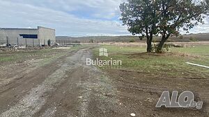 image_5