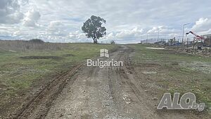 image_8