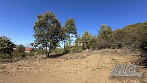 image_6