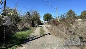image_7