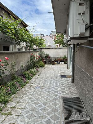 image_11