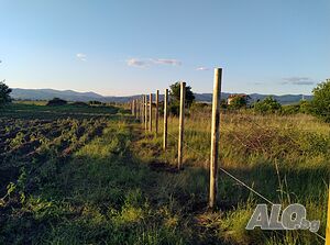 image_10