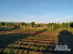 image_12