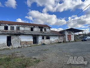 image_5